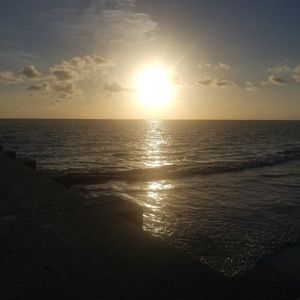 Meet your Posher, Jesse